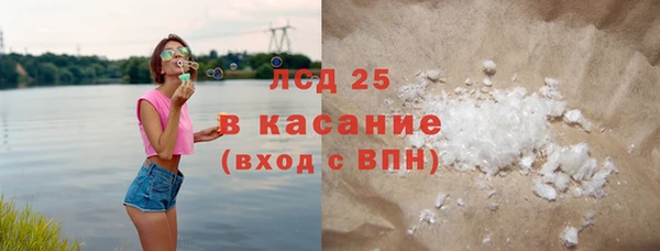 шишки Покачи