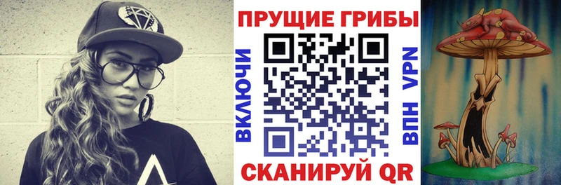 Галлюциногенные грибы MAGIC MUSHROOMS  Купить  Вологда 